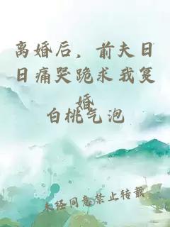 離婚后，前夫日日痛哭跪求我復婚