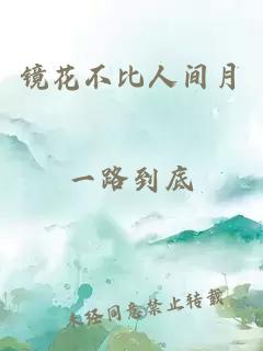鏡花不比人間月