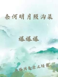 奈何明月照溝渠