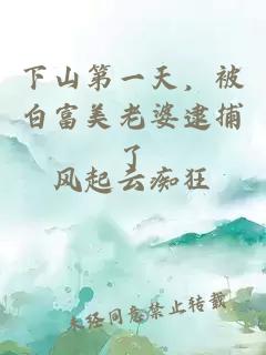 下山第一天，被白富美老婆逮捕了