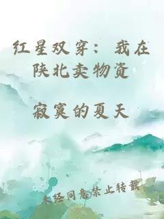 紅星雙穿：我在陜北賣(mài)物資