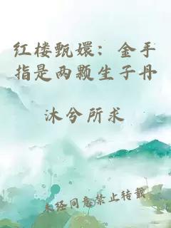 紅樓甄嬛：金手指是兩顆生子丹