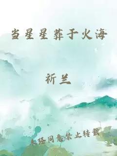 當星星葬于火海