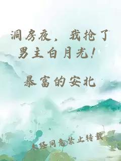 洞房夜，我搶了男主白月光！
