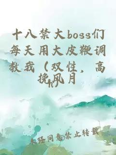 十八禁大boss們每天用大皮鞭調教我（雙性，高h）