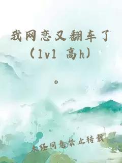 我網(wǎng)戀又翻車(chē)了（1v1 高h）