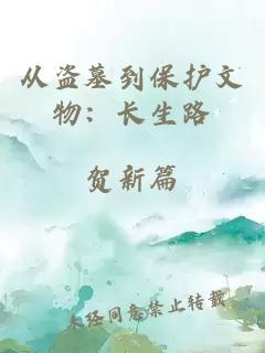 從盜墓到保護文物：長(cháng)生路