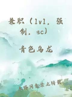 兼職（1v1，強制，sc）