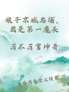 娘子京城名捕，我是第一魔頭