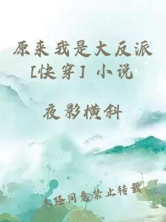 原來(lái)我是大反派[快穿] 小說(shuō)